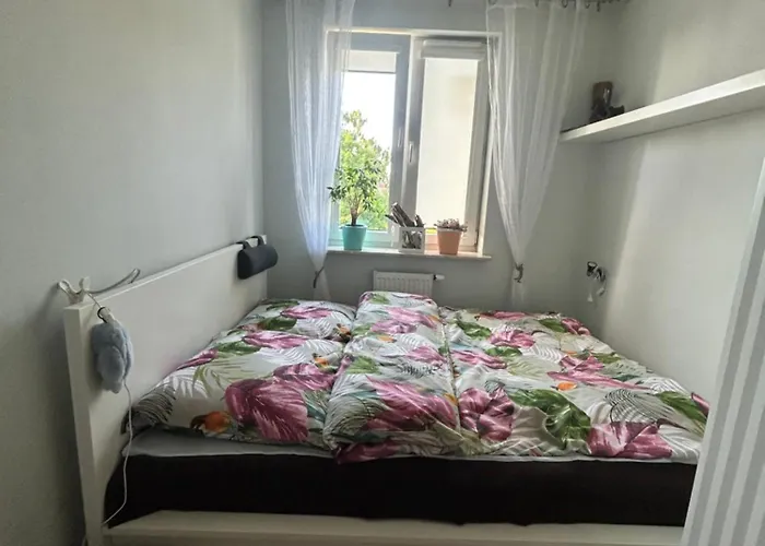 Mieszkanie Muszelka * Владыславово